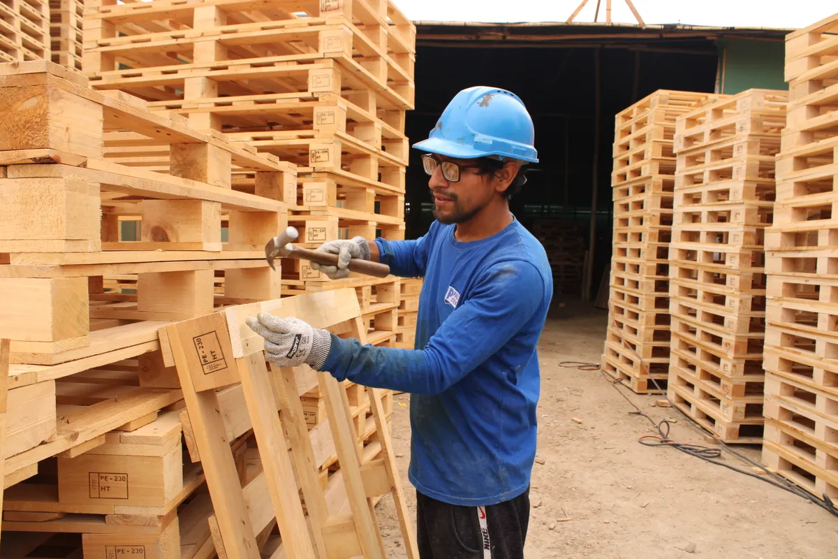 Vida útil y mantenimiento de pallets: Guía práctica